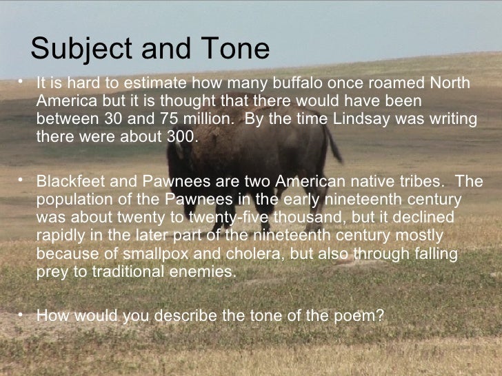 Study Guide: Where the Buffaloes Begin